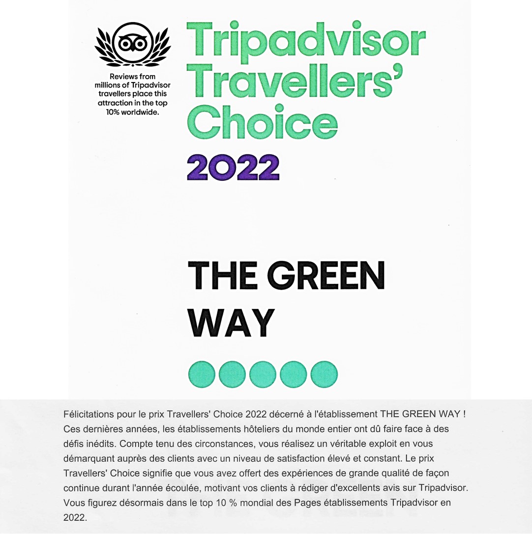 tripadvisor 2022